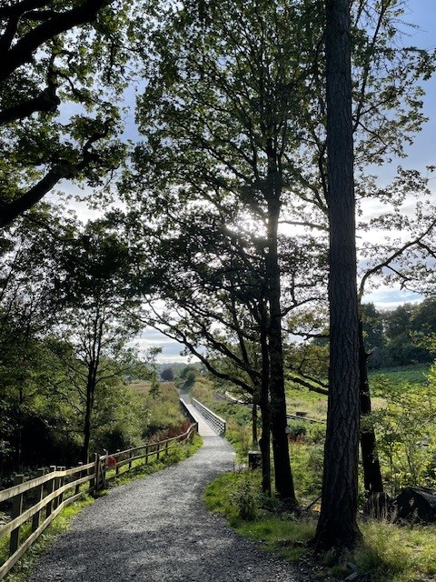 West Windermere way Stone foot path and bridge with trees