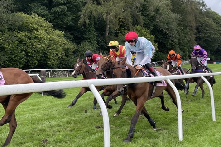 Horse races in Cartmel South Lakes showing horses running past