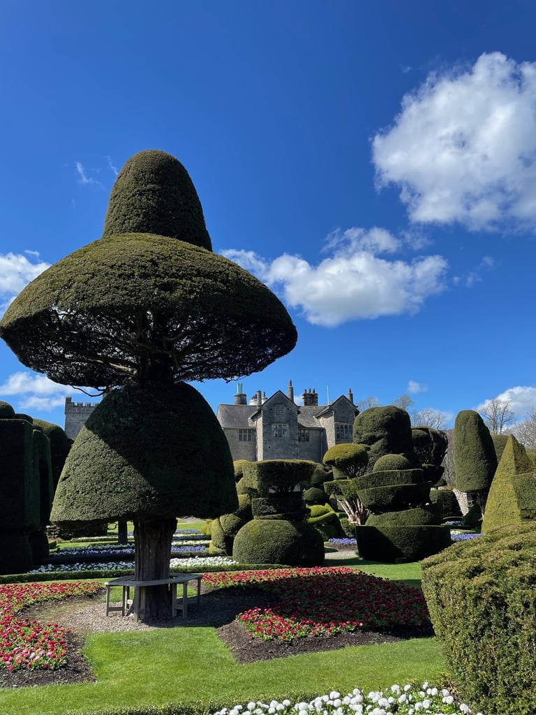 The UKs oldest Topiary garden at Levens hall in the South Lakes, Cumbria.