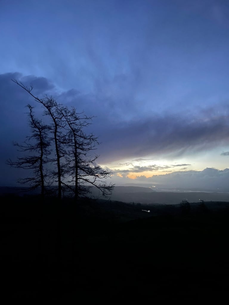 View from Gummer's How Walk in the Lake District