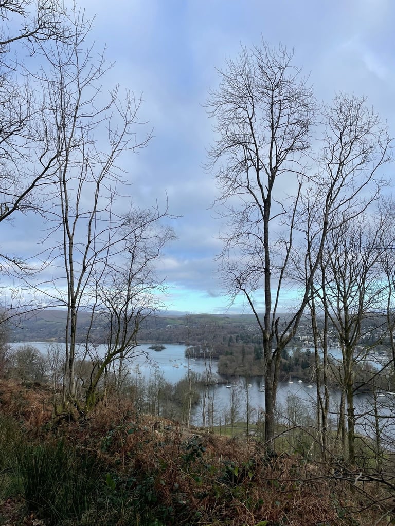 Views from the top on the Claife viewing station walk