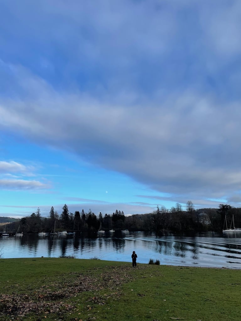 Lakeshore on Lake Windermere.