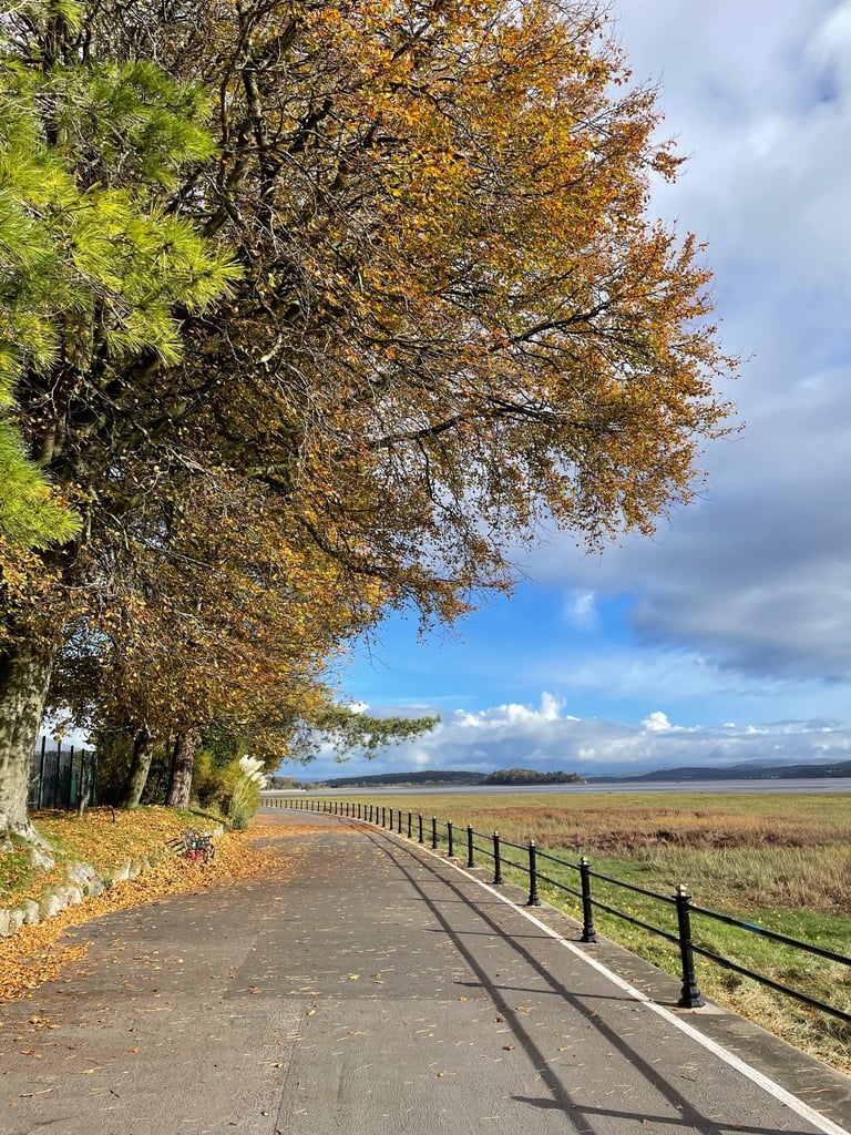Our favourite thing to do in Grange over sands - the Promenade on the coast with views of Morecambe Bay
