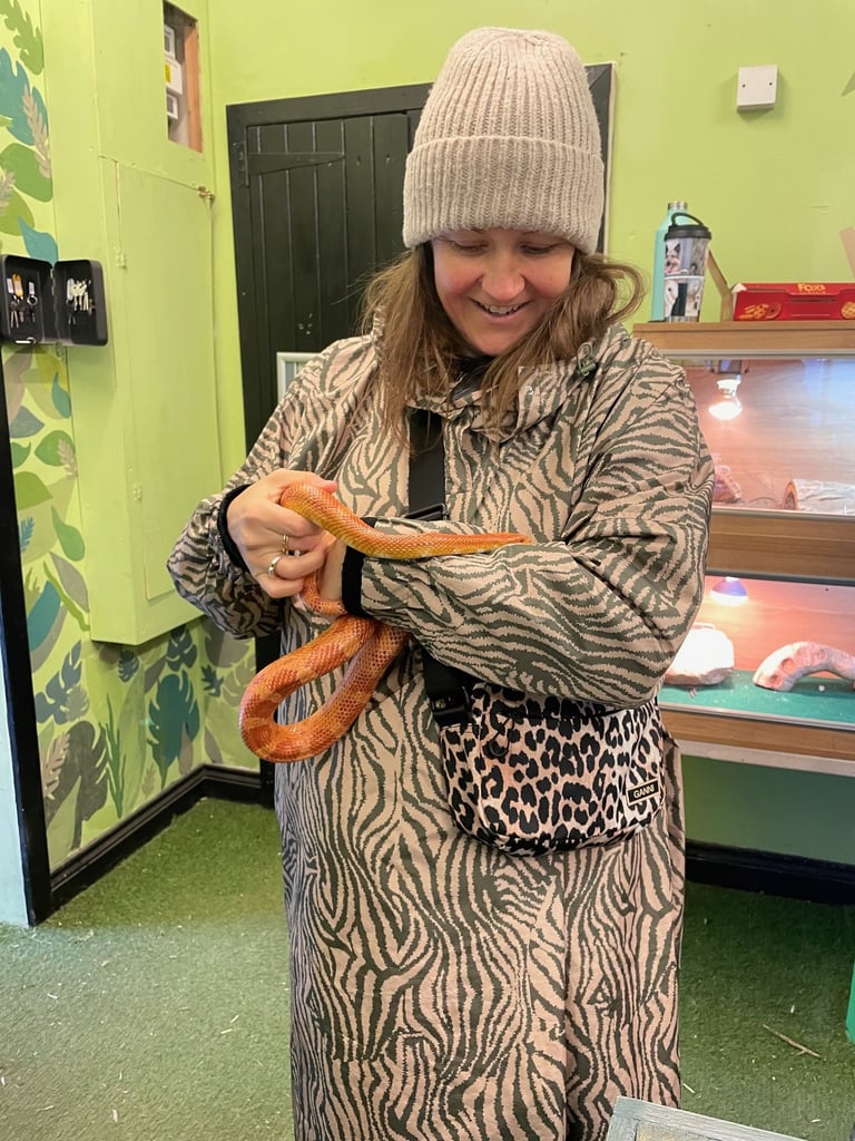 The reptile area in Greelands Farm Village is a highlight of the family-friendly farms in Cumbria. Holding a snake.
