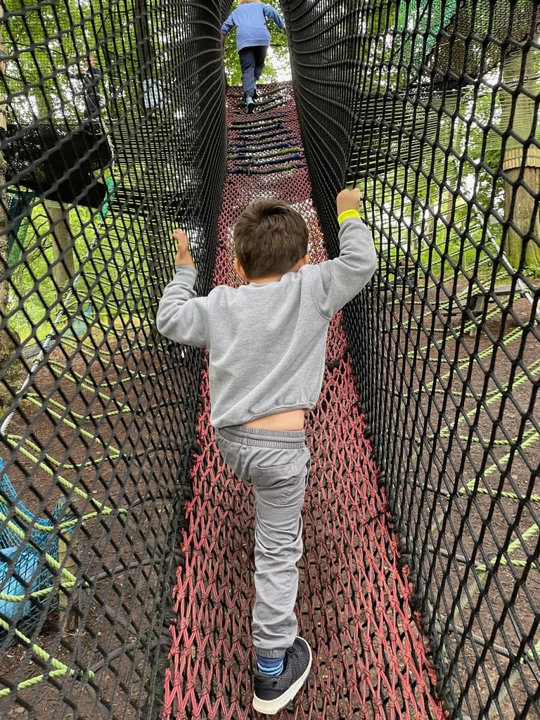 Brockhole on windermere tree top nets through Zip world