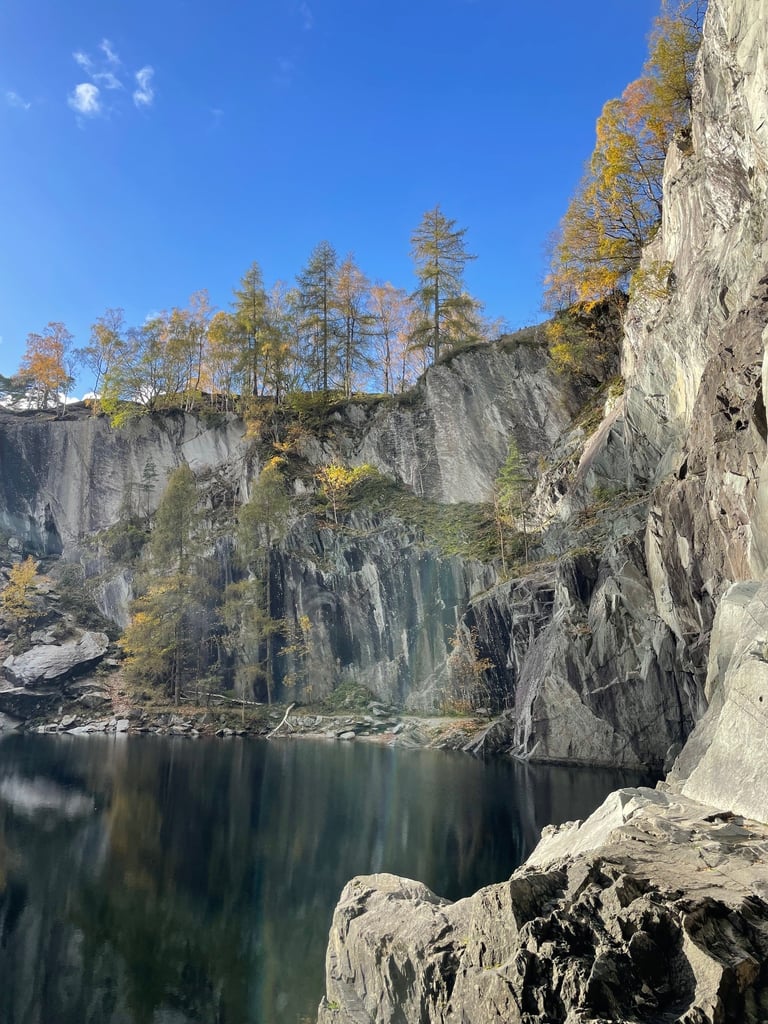 Trees tower above you in Hodge close quarry