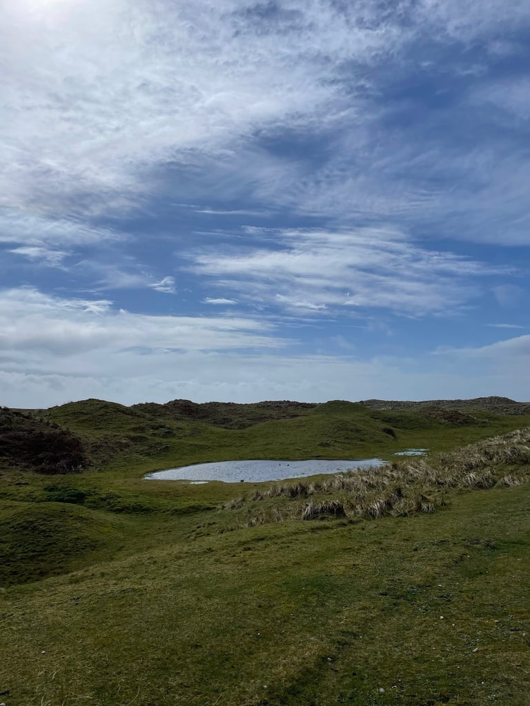 Walney Island the perfect habitat to watch birds or see seals