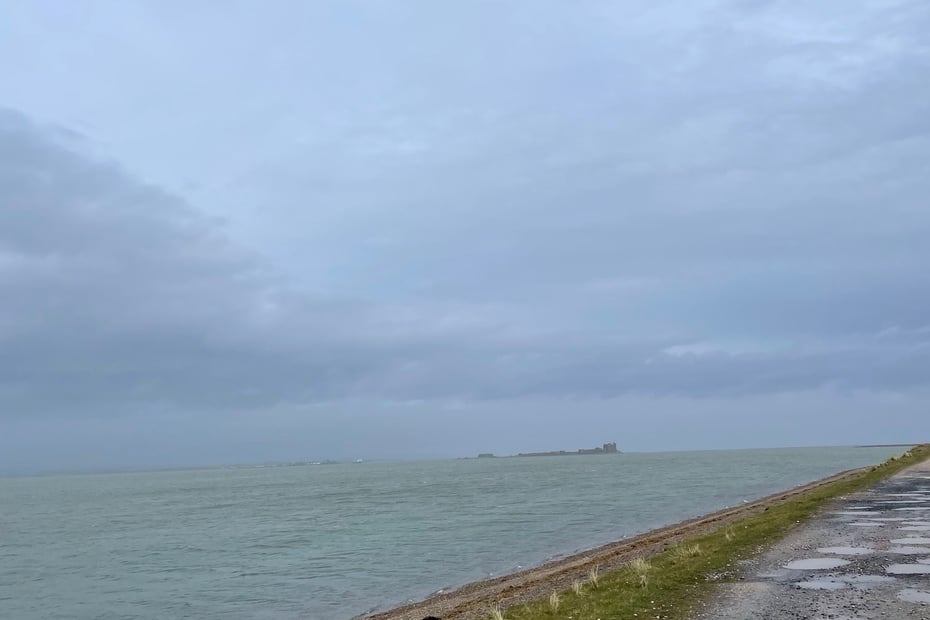 Walney Island South Nature Reserve