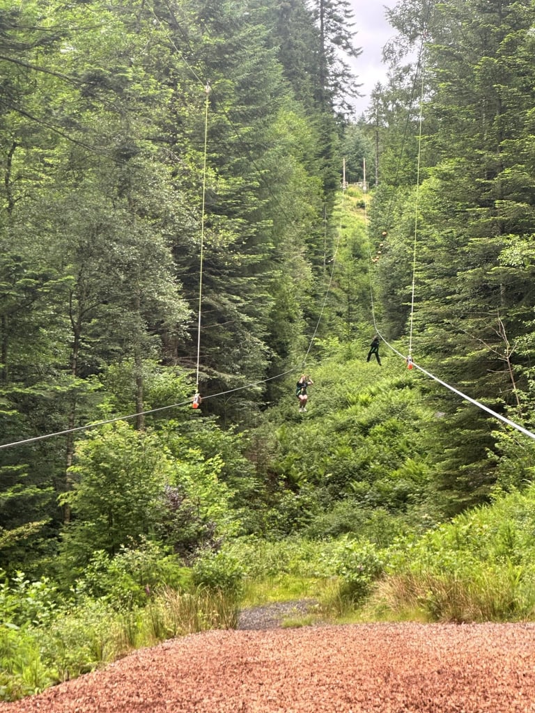 Zip Trekking adventure in Grizedale forest the Lake District
