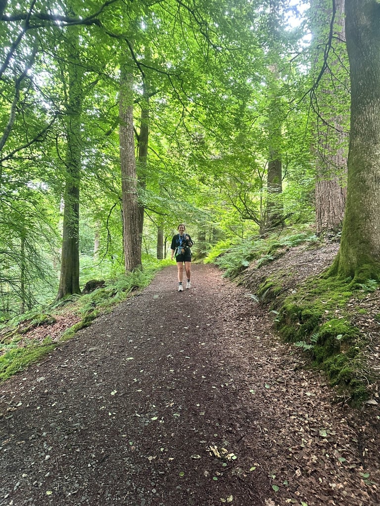Grizedale forest walk and zip wire adventure in Cumbria the Lake District