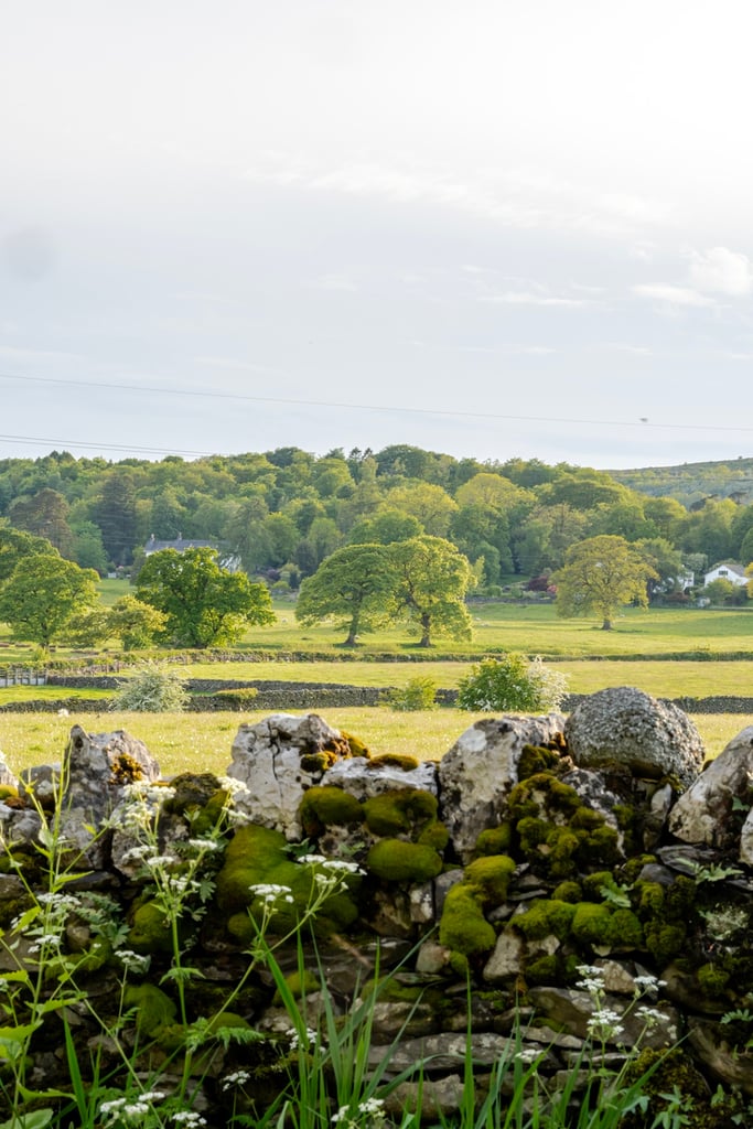 Green fields, mature trees and village houses beyond a dry stone wall in Field Broughton, near Cartmel in Cumbria.