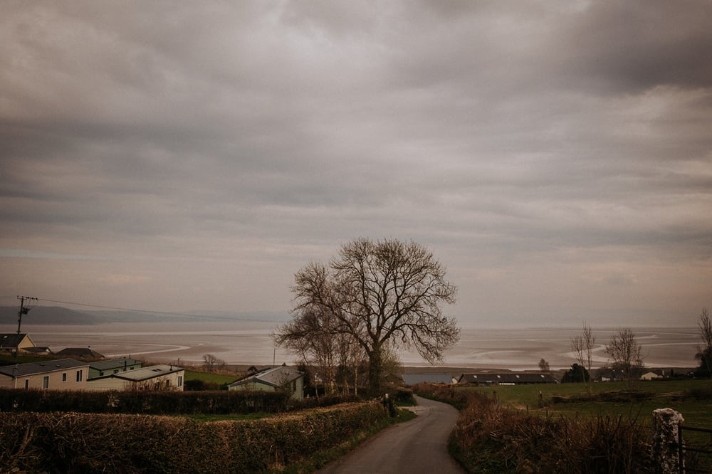 Tree on the hill down to Grange over sands and morecambe bay