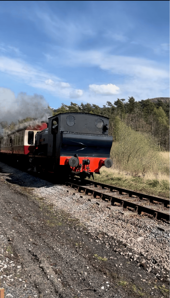 Steam train passing on the Lakeside & Haverthwaite Railway