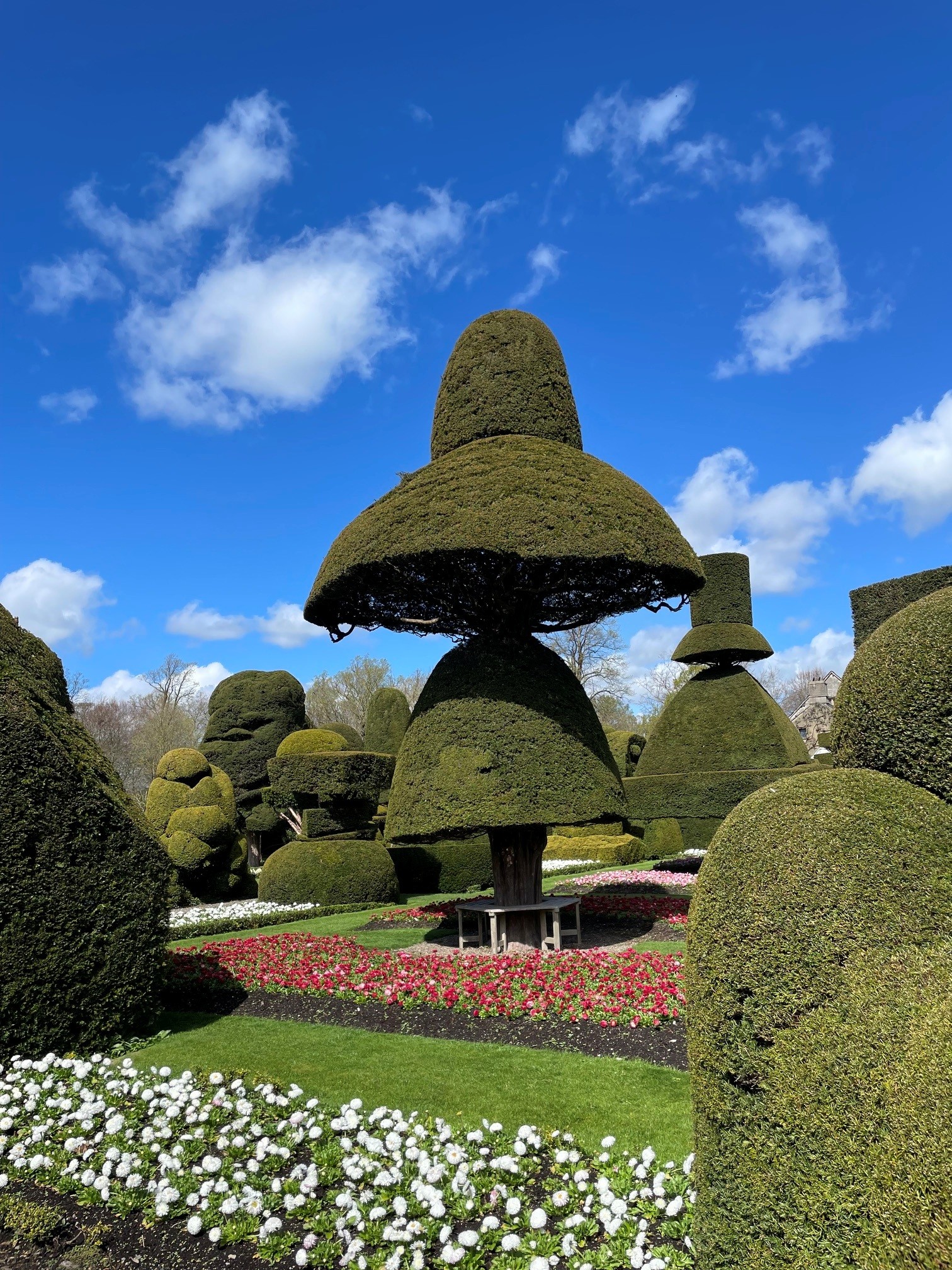 Topiary at Levens Hall, featured in our guide to family activities in the Lake District